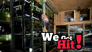 Hurricane Helene the Aftermath and What I do for the FISHROOM [upl. by Anoerb]