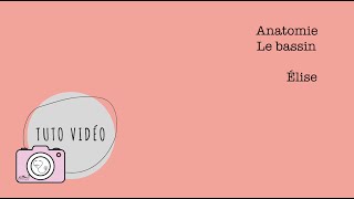 Anatomie – Le bassin [upl. by Nylimaj]