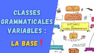 CLASSES GRAMMATICALES VARIABLES ou natures  révisez vos basiques [upl. by Schnapp]