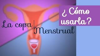 La copa menstrual cómo usarla [upl. by Eseila95]