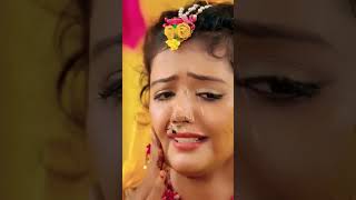 Ashish yadav Trending bhojpuri bhojpurisong pyarparsokekailnarahekhesarilalsong ashishyadav [upl. by Lenej849]