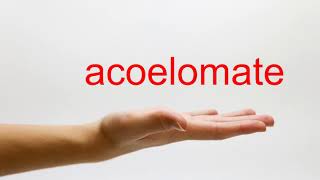 How to Pronounce acoelomate  American English [upl. by Pierette455]