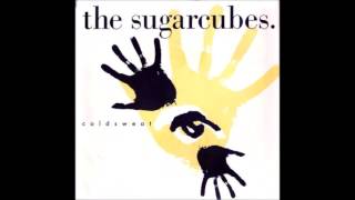 The Sugarcubes  Coldsweat [upl. by Atikkin]