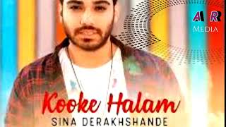 Sina Derakhshande  Kooke Halam  Single  микс 2024 [upl. by Lovash610]