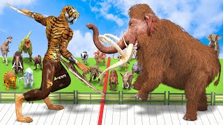 Death Run Who Will Win  Saber Tooth Tiger Vs Mammoth Elephant Dinosaur Animal Revolt Battle Simul [upl. by Ennahtur682]