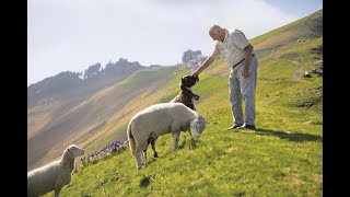 Monte Generoso Where sheep predicted the weather  Ticino Switzerland [upl. by Blanding920]