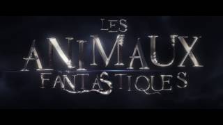 LES ANIMAUX FANTASTIQUES  TV Spot  Français  VF  French [upl. by Er569]