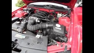 2005 Saleen Mustang S281 walkaround and start up [upl. by Aicatan590]