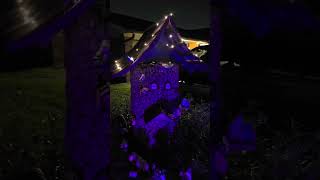 Gnome House Christmas Lights [upl. by Carl]