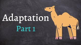 Adaptation part 1  Adaptation in hindi  Adaptation in plant and animal [upl. by Ohare]