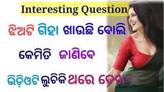 Most brilliant double meaning odia questions  Odia Lola katha Mayurbhanj [upl. by Yerag582]