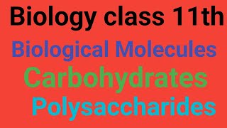 Polysaccharides Lecture 3 GlycogenStarch Cellulose Chitin and Iodine Test for polysaccharides [upl. by Eerahc]