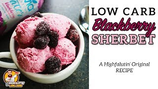 Low Carb BLACKBERRY SHERBET  Easy Keto Blackberry Sorbet  Zevia SugarFree Dessert Recipe [upl. by Korwin]