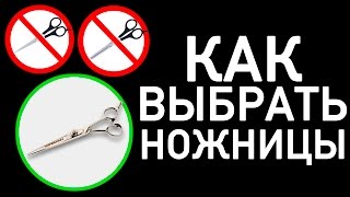 Как правильно выбрать ножницы  Парикмахерские курсы Обучение парикмахеров [upl. by Sabir]