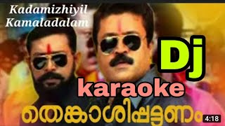 Kadamizhiyil Kamaladalam  ഡി ജെ കരോക്കെ Malayalam [upl. by Wehhtam954]