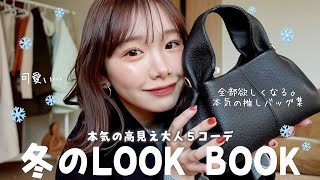 今年の冬はおとなっぽく。高見え垢抜けLOOKBOOK☃️🤍が可愛すぎるよ〜  PolèneZOZO kastane [upl. by Saleme681]