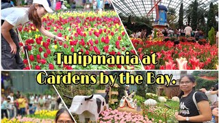 Tulipmania at Gardens By the Bay Singapore [upl. by Lach179]