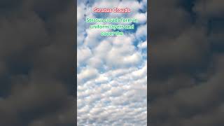 Clouds the interesting Facts Stratus Clouds Shorts [upl. by Lipps924]