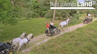 Siesta auf der Ranch  Sommer im Lüneburger Land  die schönsten Höfe Norddeutschlands NDR [upl. by Centeno347]