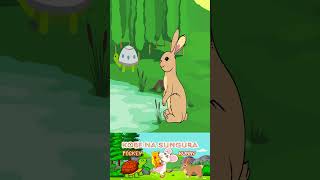 MBIO ZA SUNGURA NA KOBE  Pockey NA BUNNY  Hare and Tortoise story kiswahili 2024  part 1 [upl. by Ogden]