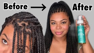 How To Refresh Your Box Braids  2 Month Growth  SheaMoisture Wig amp Weave Mousse Review [upl. by Amzu]