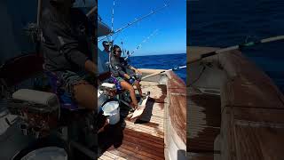 Stripey on deck risingsons nature fishing marlin marlinfishing ocean cabo anywherealoha [upl. by Lannie628]