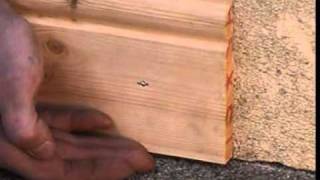 Skirting Board installation using Fast Flex [upl. by Ellevehc494]