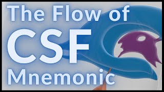 Flow of CSF  MADE EASY [upl. by Nyrak]