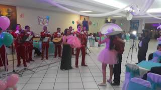 Mariachis en Cuenca  No crezcas más  Mariachi Veracruz [upl. by Odlaniger]