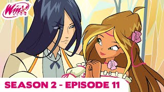 Winx Club  Season 2 Episode 11  Race Against Time  FULL EPISODE [upl. by Shirlene]