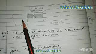 Euchromatin and heterochromatin hpu msc botany [upl. by Yenalem123]