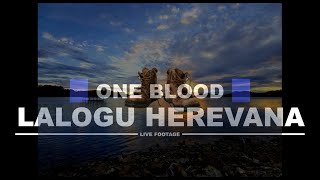 Lalogu Herevana Live Cover By Hannah aka Beix Makali and Wayne ONE BLOOD [upl. by Lowenstein]