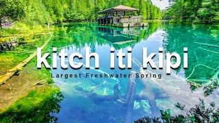 kitch iti kipi springsThe Magic of Michigans Largest Freshwater Spring  palms book state park [upl. by Myrta159]