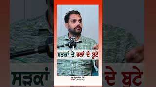 ਸੜਕਾਂ ਤੇ ਫਲਾਂ ਦੇ ਬੂਟੇ rmbtelevision farming podcast status fruit fruitfarm diet healthcare [upl. by Koffler504]