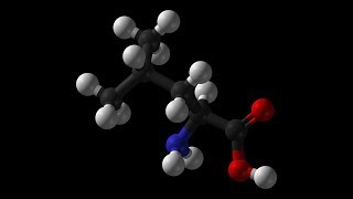 Leucine  Muscle Growth Bone Skin Growth Hormone Blood Sugar Wound Healing Insulin NADH ATP [upl. by Nadbus]