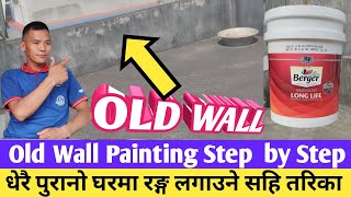 How to Paint an Old House Exterior धेरै पुरनो भित्तामा रङ्ग लगाउन अगाडि केके गर्नुपर्छ [upl. by Nahtannhoj]