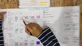 Jaundice explained  PART4  VanDen Bergh reaction  Direct Indirect and biphasic reaction [upl. by Ahsal]