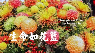 生命如花籃 薩克斯風，Saxophone Cover [upl. by Whorton]