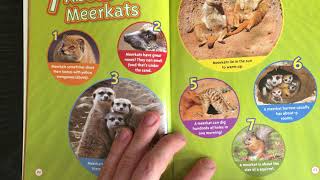 National Geographic Kids Meerkats [upl. by Tama]