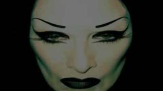 diamanda galas  vena cava pt2 [upl. by Naltiak565]