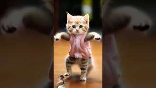 Meow meow song trending shortsfeed shorts cat [upl. by Aderf]