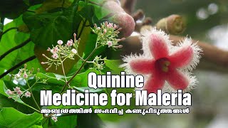 അബദ്ധത്തിൽ സംഭവിച്ച കണ്ടുപിടുത്തങ്ങൾ Episode1 Quinine  Medicine  Maleria  Inventions trending [upl. by Lubeck]