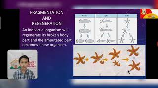 Ways of Animal Reproduction Earth and Life Science Grade 11 Discussion Video [upl. by Sremmus]