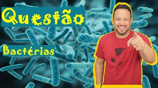 Bactérias  Questão  Características Gerais  Microbiologia  Reino Monera [upl. by Ranitta208]