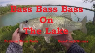 Bass Fishing Bass Bass Bass On The Lake Friendswood Texas [upl. by Curkell216]