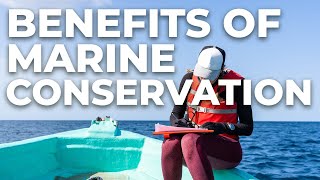 Benefits of marine conservation [upl. by Ceporah294]