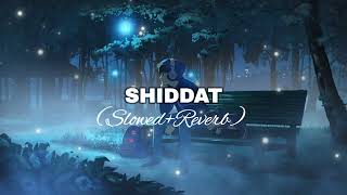 Shiddat   Slowed  Reverb  Lyrics  Use Headphones 🎧🎧🎧 [upl. by Natalee]