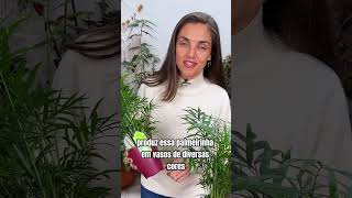 DICA de PLANTA COMPACTA para DECORAÇÃO [upl. by Dnaltruoc162]