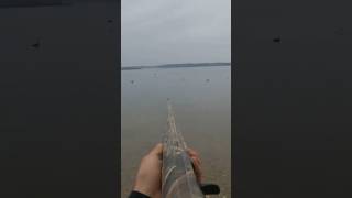 Hunting Bufflehead Ducks [upl. by Cirilo]