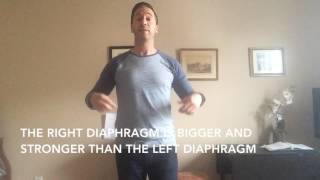 Diaphragm basics how extension of your lower back prevents proper diaphragmatic breathing [upl. by Zerlina]